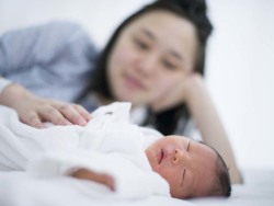 苏主任
